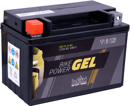 Starterbatterie