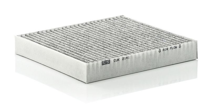 Filter, Innenraumluft