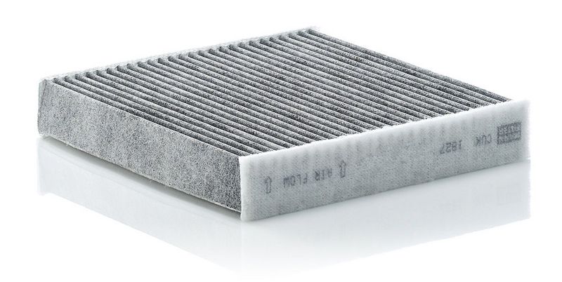 Filter, Innenraumluft