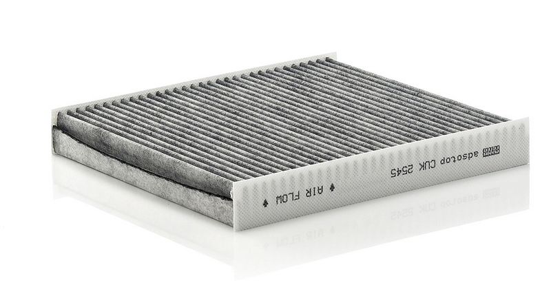 Filter, Innenraumluft