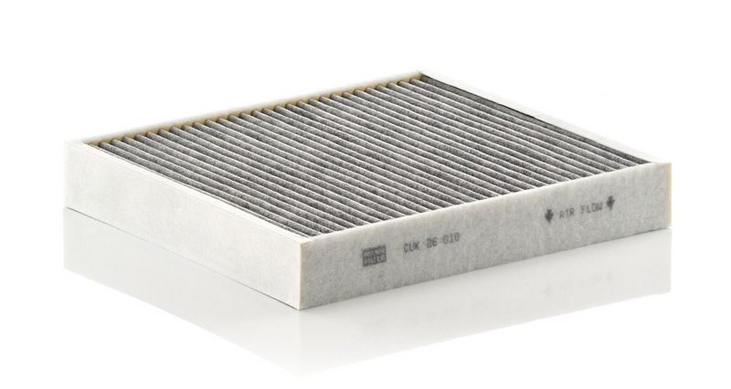 Filter, Innenraumluft