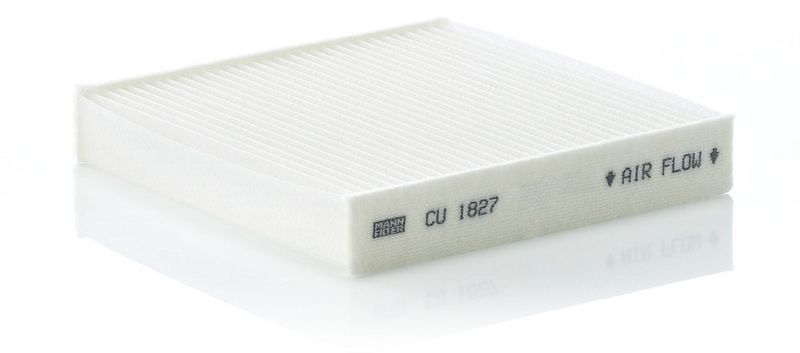Filter, Innenraumluft