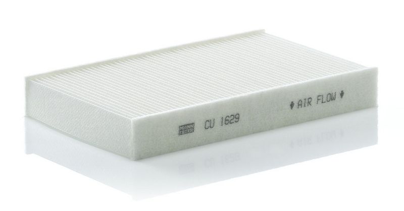 Filter, Innenraumluft