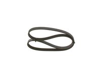 Keilrippenriemen