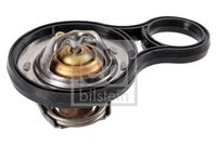 Thermostat, Kühlmittel