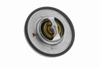 Thermostat, Kühlmittel