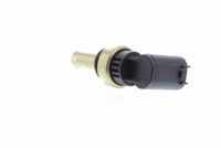 Sensor, Kühlmitteltemperatur