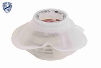 Kraftstoffpumpe