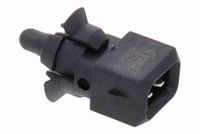 Kraftstoffpumpe