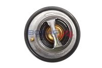 Thermostat, Kühlmittel