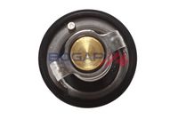 Thermostat, Kühlmittel