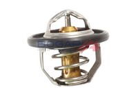 Thermostat, Kühlmittel