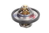 Thermostat, Kühlmittel