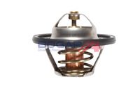 Thermostat, Kühlmittel