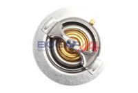 Thermostat, Kühlmittel