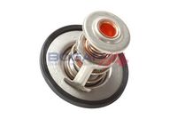Thermostat, Kühlmittel