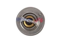 Thermostat, Kühlmittel