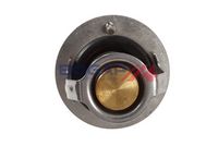 Thermostat, Kühlmittel