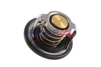 Thermostat, Kühlmittel