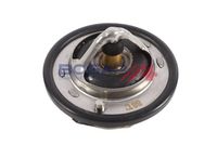 Thermostat, Kühlmittel