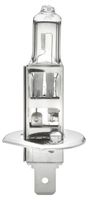 Glühlampe, Nebelscheinwerfer