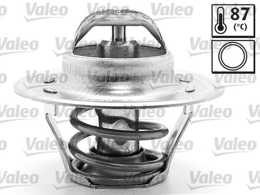 Thermostat, Kühlmittel