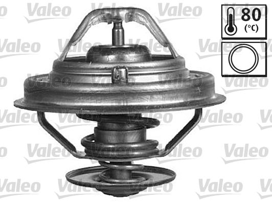 Thermostat, Kühlmittel