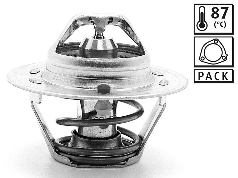 Thermostat, Kühlmittel