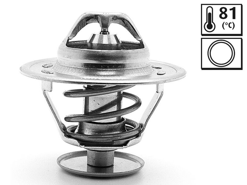 Thermostat, Kühlmittel