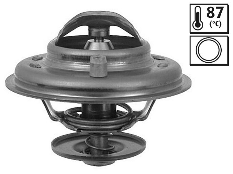 Thermostat, Kühlmittel
