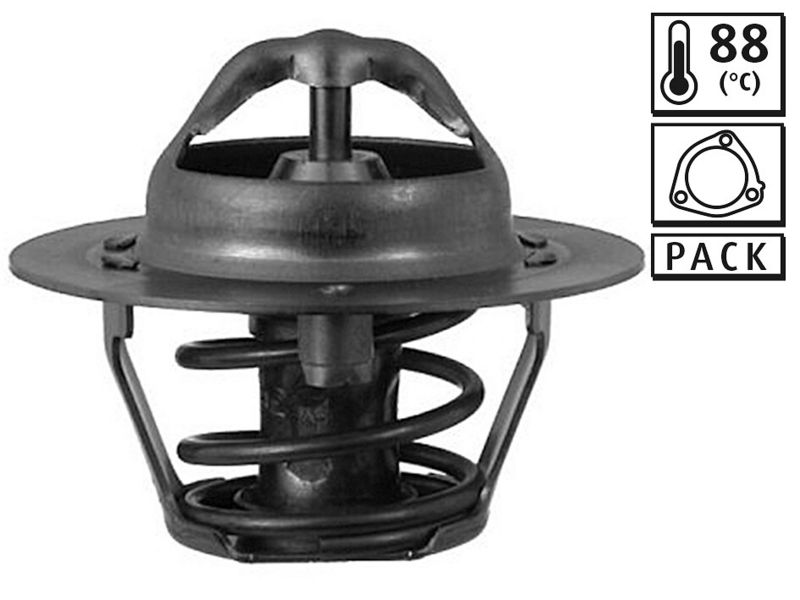 Thermostat, Kühlmittel