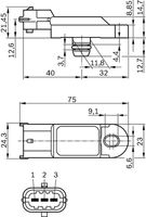 Sensor, Ladedruck