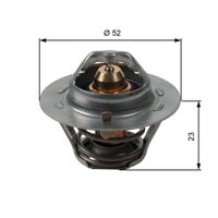 Thermostat, Kühlmittel