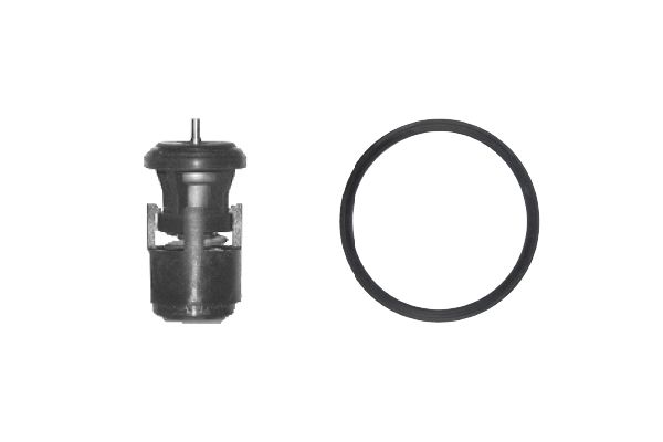 Thermostat, Kühlmittel