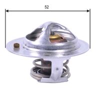 Thermostat, Kühlmittel