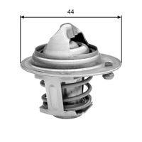Thermostat, Kühlmittel