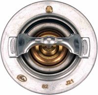 Thermostat, Kühlmittel