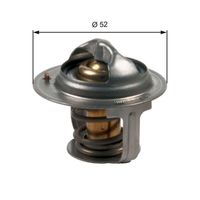 Thermostat, Kühlmittel