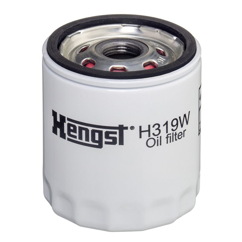 H319W_0081