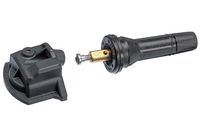 Radsensor, Reifendruck-Kontrollsystem