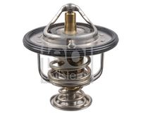 Thermostat, Kühlmittel