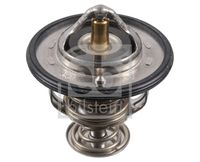Thermostat, Kühlmittel
