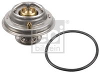 Thermostat, Kühlmittel