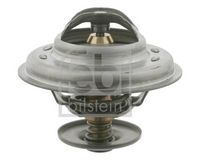 Thermostat, Kühlmittel