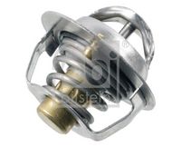 Thermostat, Kühlmittel