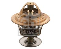 Thermostat, Kühlmittel