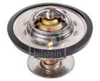 Thermostat, Kühlmittel
