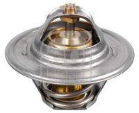 Thermostat, Kühlmittel