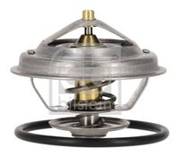 Thermostat, Kühlmittel