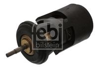 Thermostat, Kühlmittel